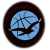 https://img.yangfang-china.com/img/basketball/team/1a45d903dafdcc026ec9809d9916a681.png