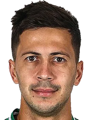 https://img.yangfang-china.com/img/football/player/a7521cae3d55835286cc258209d1ffee.png