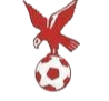 https://img.yangfang-china.com/img/football/team/4802d26df935b78bb2fcdbbff36e8864.png